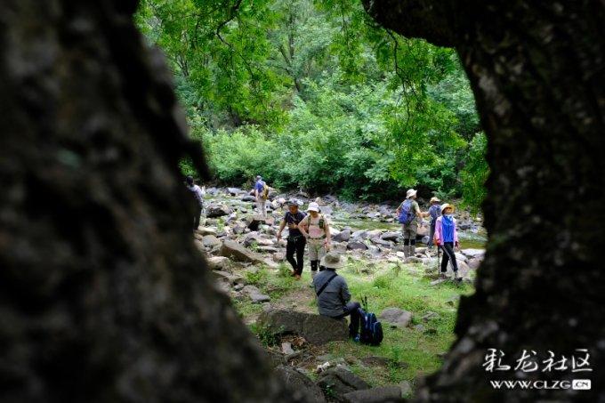 小勇今年13岁,妈妈今年38岁,再过多少年,妈妈的年龄是小勇的2倍-最新、最热、最有趣的红迪网平台